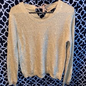 a.n.a sparkle sweater